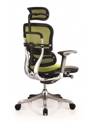 Кресло компьютерное ERGOHUMAN PLUS эргономичное, зелёного цвета