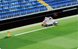 Робот-розмітник FJD PaintMaster RLM01